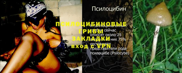 эйфоретик Абдулино